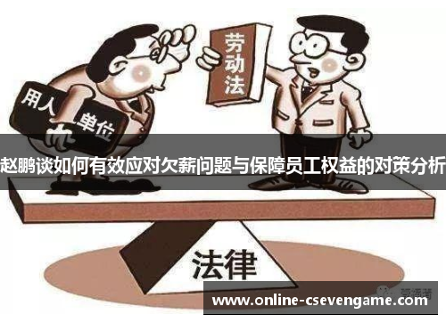 赵鹏谈如何有效应对欠薪问题与保障员工权益的对策分析